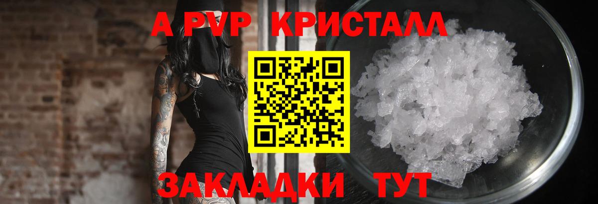 Alfa_PVP СК Губкин