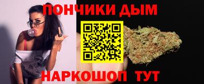 спайс Кингисепп