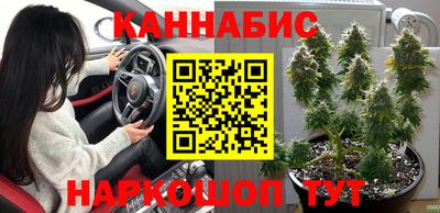 спайс Кингисепп