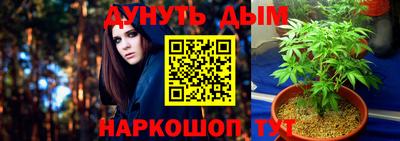 спайс Кингисепп