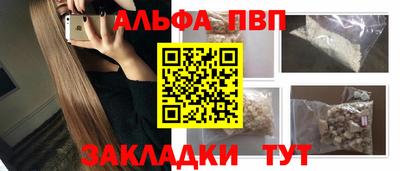 спайс Кингисепп