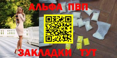 спайс Кингисепп
