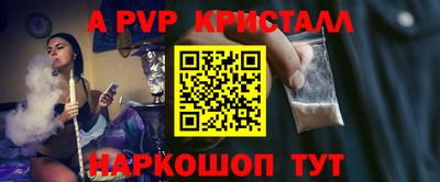 спайс Кингисепп