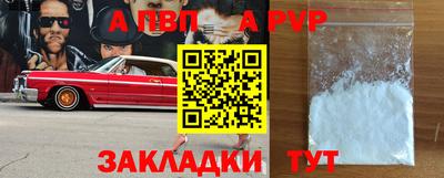 спайс Кингисепп