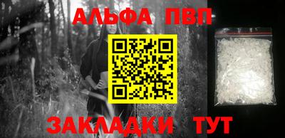 спайс Кингисепп