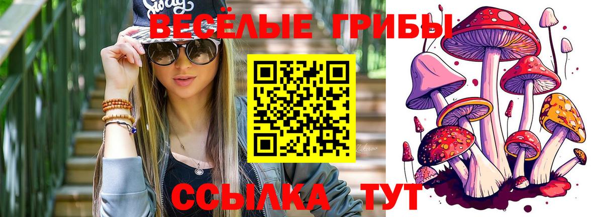 Псилоцибиновые грибы мухоморы Губкин