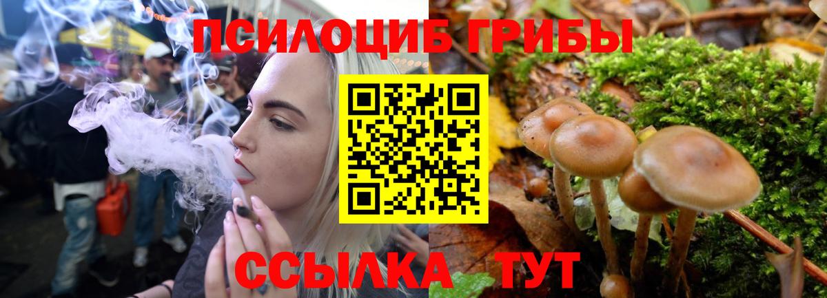 Губкин  Псилоцибиновые грибы Psilocybine cubensis  продажа наркотиков  Псилоцибиновые грибы Magic Shrooms  Вход с VPN 